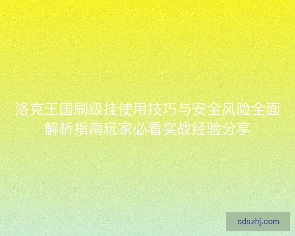 洛克王国刷级挂使用技巧与安全风险全面解析指南玩家必看实战经验分享
