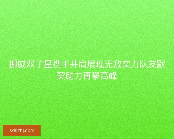 挪威双子星携手并肩展现无敌实力队友默契助力再攀高峰