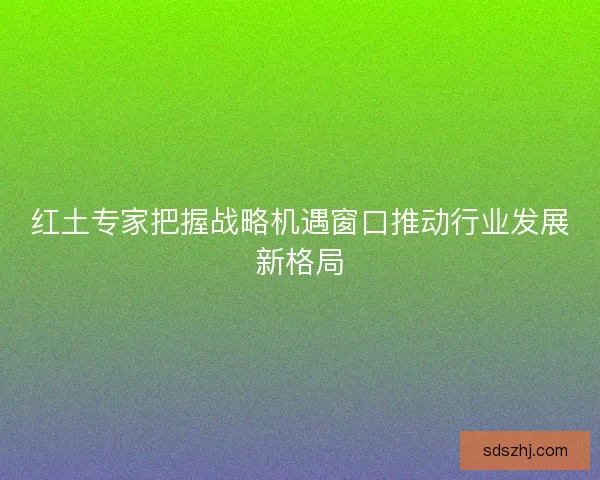 红土专家把握战略机遇窗口推动行业发展新格局