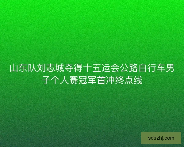 山东队刘志城夺得十五运会公路自行车男子个人赛冠军首冲终点线 山东队刘志城夺得十五运会公路自行车男子个人赛冠军首冲终点线