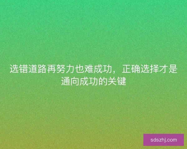 选错道路再努力也难成功，正确选择才是通向成功的关键